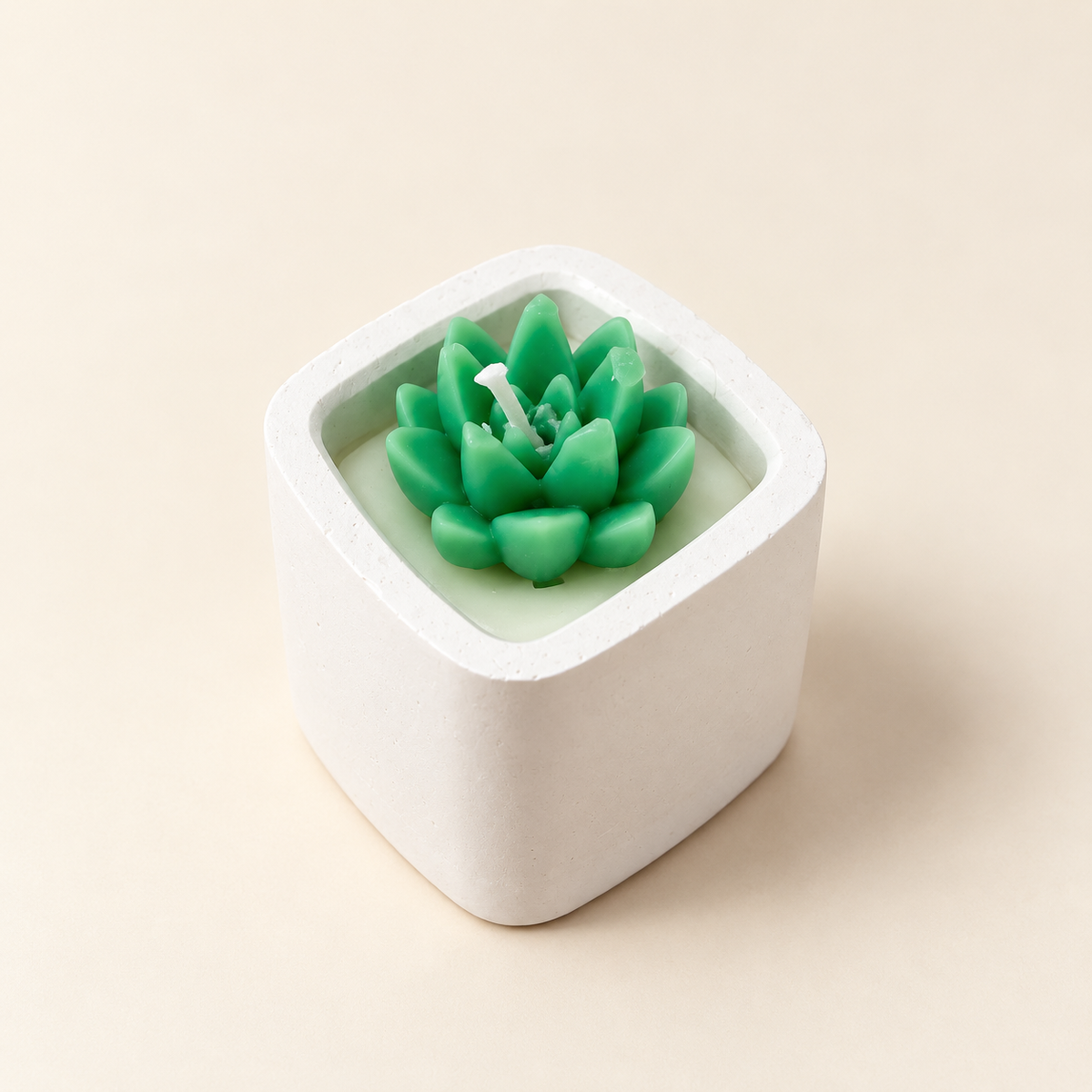 Succulent Serenity Candle